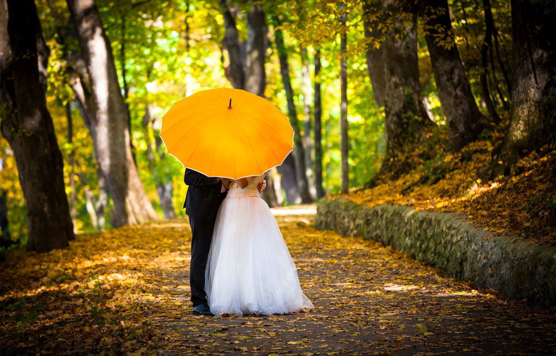 Жених и невеста под большим желтым зонтом в парке