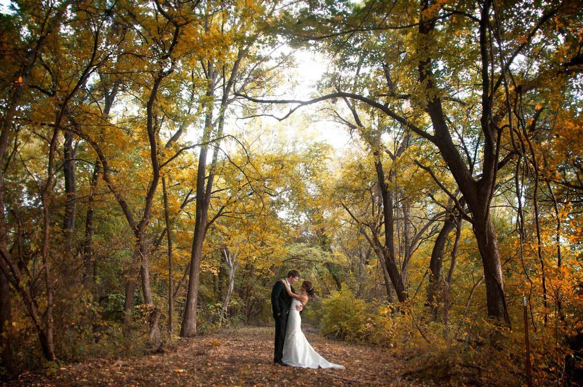 Свадебные фотосессии в осеннем лесу