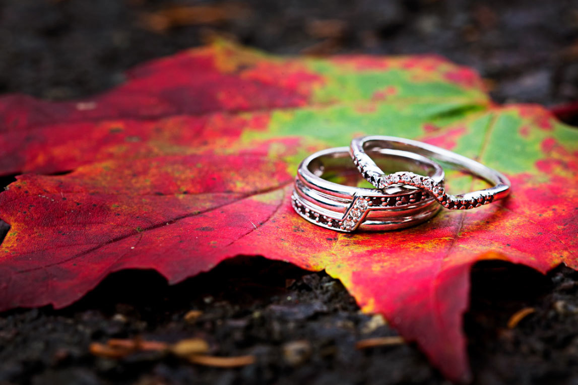 свадебные кольца на осенних листьях